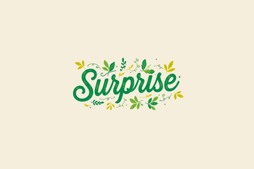Sandwich - Surprise